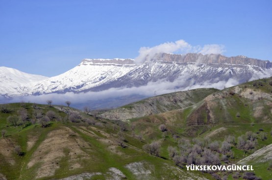 Foto: Yaşar KAPLAN