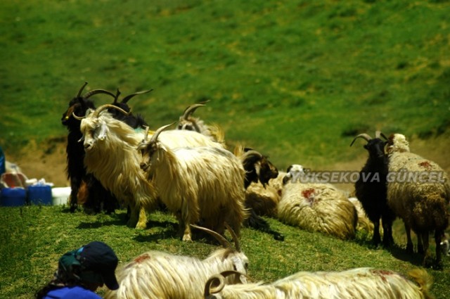 FOTOĞRAF; Ümit BARTIN