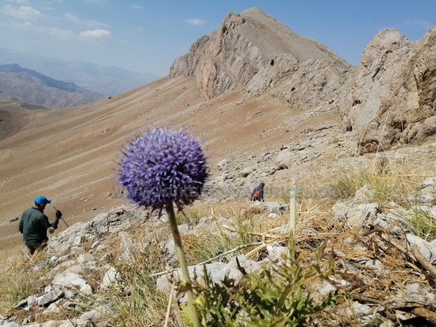 Yüksekova..! Cilo Trekking Spor Kulübü Üyelerinden Yürüyüş Ve Tırmanış