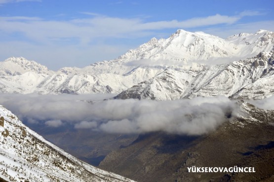 Foto: Yaşar KAPLAN