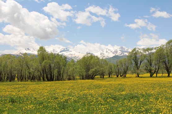 FOTO : Cahit YİĞİT