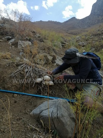 Yüksekova..! Cilo Trekking Spor Kulübü Üyelerinden Yürüyüş Ve Tırmanış