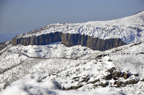 Foto: Yaşar KAPLAN