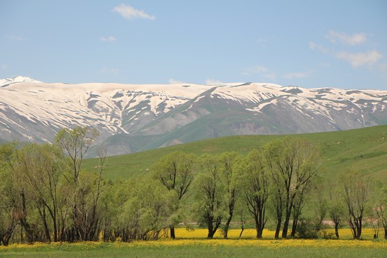 FOTO : Cahit YİĞİT