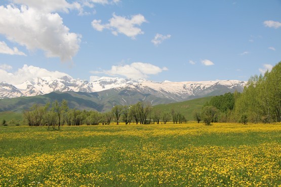 FOTO : Cahit YİĞİT