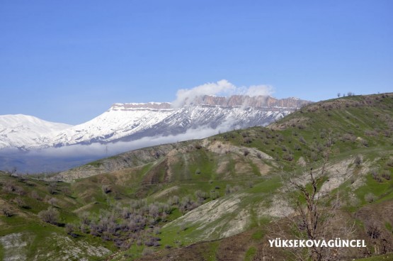 Foto: Yaşar KAPLAN