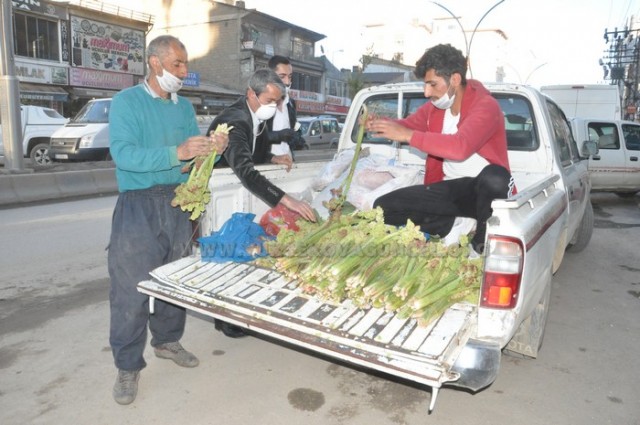 RESİMLERE BAKMAK İÇİN ÜZERİNE TIKLAYINIZ