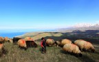 Doğanın güzelliklerini koynunda saklayan Van