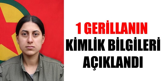 1 gerillanın kimlik bilgileri açıklandı