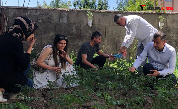 Müdür Yiğit, ilçedeki Sebze alanlarını inceledi