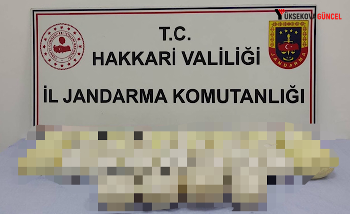 Şemdinli’de 23 Kilo Uyuşturucu Yakalandı