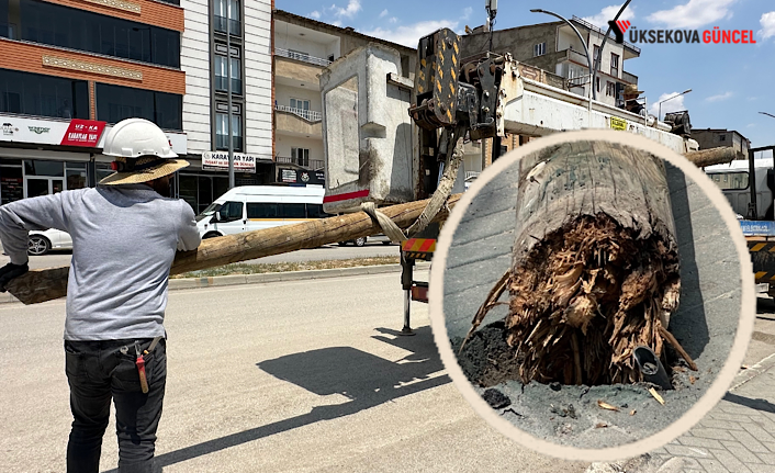 Yüksekova’da tehlike saçan elektrik direği ekipler tarafından kaldırılarak yerine yenisi bırakıldı