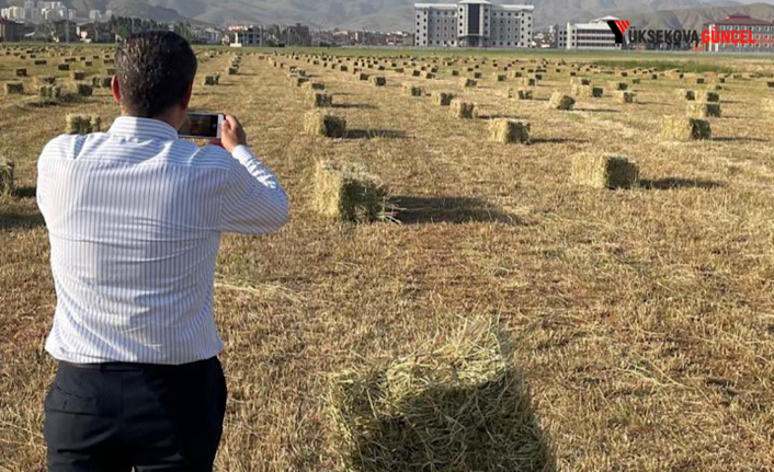 Yüksekova’da Yağışlar Tarımda Verimliliği Artırdı