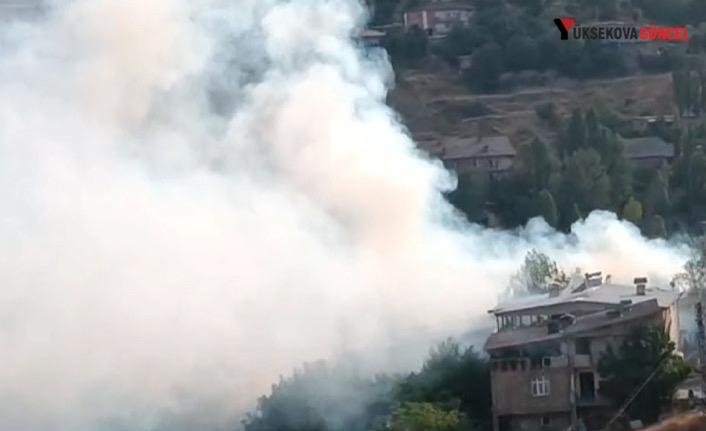 Hakkari’de mahallede çıkan yangın korkuttu