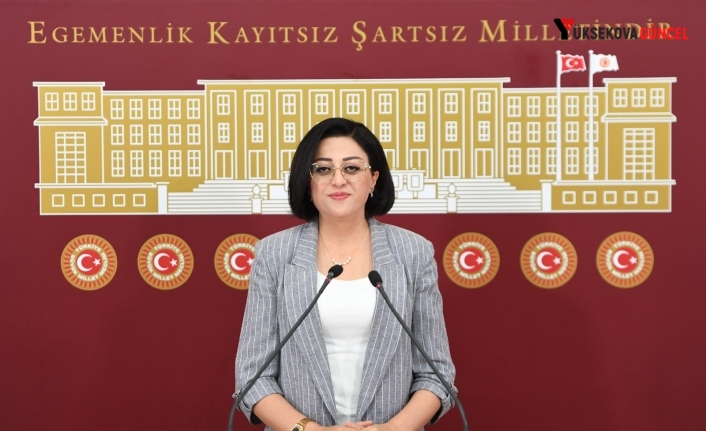 Vekil Öznur Bartın, Cilo Sat Festivalini Meclise Taşıdı