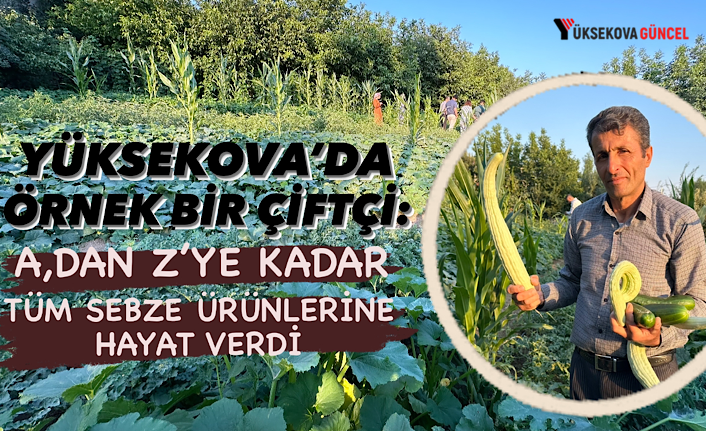 Yüksekova’da Örnek Çiftçi: A’dan Z’ye Tüm Sebze Ürünlerine Hayat Verdi