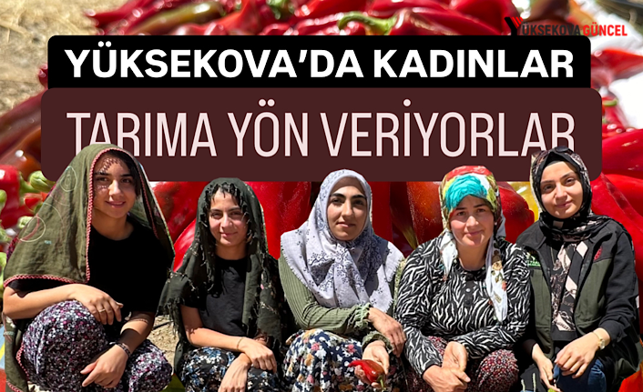 Yüksekova’da Kadınlar Tarıma Yön Veriyor: Kapya Biberde Bereketli Hasat Zamanı