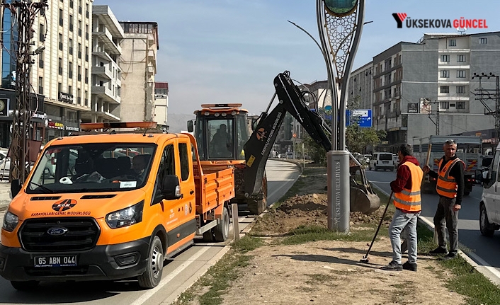 Yüksekova İpekyolun Orta Refüjünde Çalışma