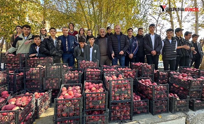 Yüksekova: Okulda Öğrenci Bahçede Çiftçi, Elma hasadını gerçekleştirdiler