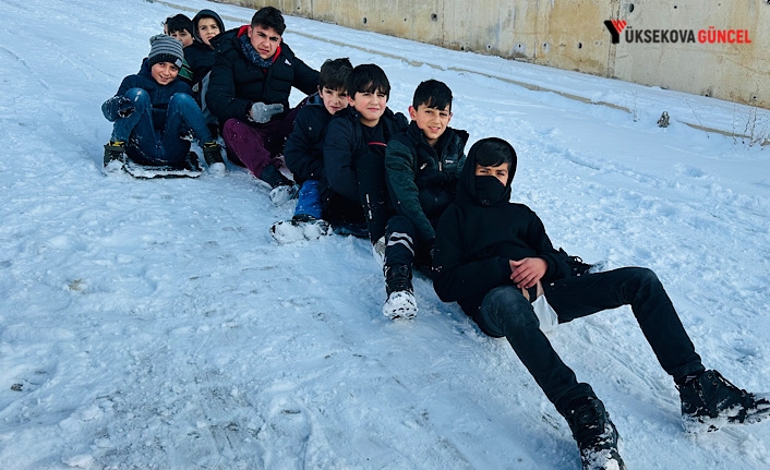 Yüksekova'da kar yağışını çocuklar eğlenceye çevirdi: Poşet, tahta ve tepsileri alıp yolları buz pistine döndürdüler