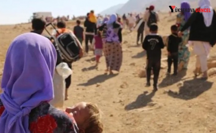 İsviçre Parlamentosu, Ezidi soykırımını tanıdı