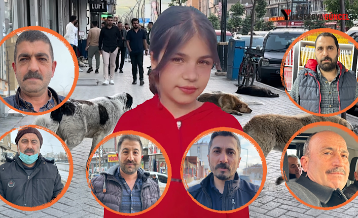 Vatandaşlar: “Başka canlar gitmeden, Yüksekova’daki sokak köpekleri topyekün toplatılmalı”