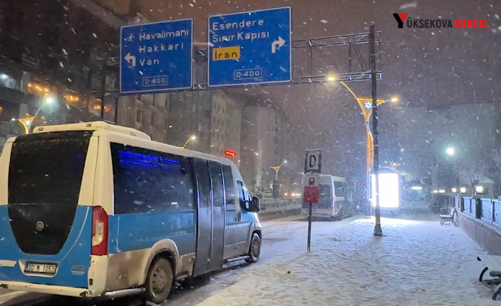 Yüksekova’da Kar Yağışı Etkili Oldu: Okullar Birgün Süreyle Tatil Edildi