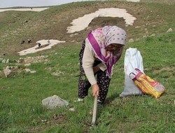 ANNELER GÜNÜ'NÜN ÖTEKİ YÜZÜ