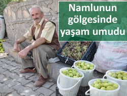 NAMLUNUN GÖLGESİNDE YAŞAM UMUDU