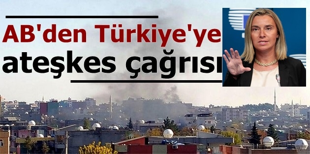 AB'den Türkiye'ye ateşkes çağrısı