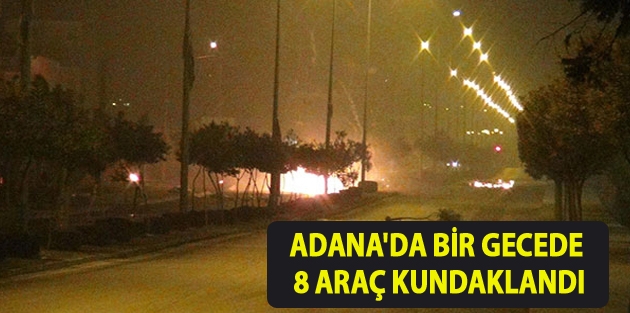 Adana'da bir gecede 8 araç kundaklandı