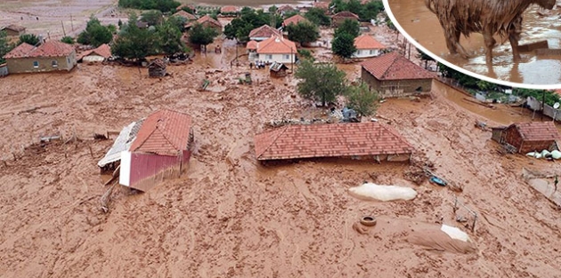 Ağır bilanço! Çamur altında kaldı