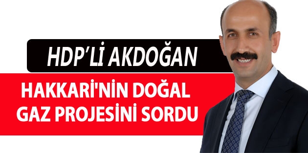 Akdoğan: Hakkari'nin Doğal Gaz Projesini Sordu