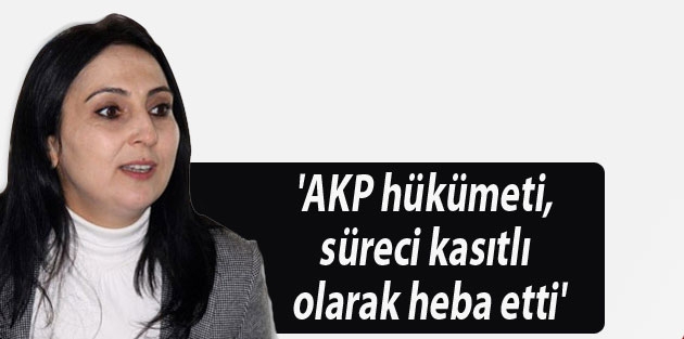 'AKP hükümeti, süreci kasıtlı olarak heba etti'