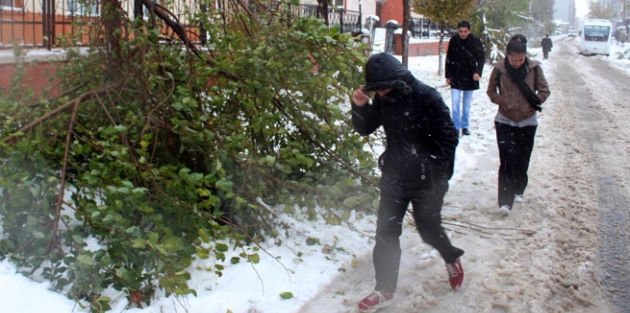 Ardahan'da merkeze bağlı köylerle 3 ilçede eğitime kar engeli