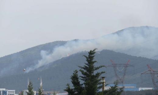 Aydos Ormanları'nda yangın