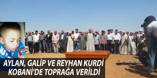 Aylan, Galip ve Reyhan Kurdi Kobani'de toprağa verildi