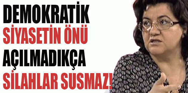 Ayna: Demokratik siyasetin önü açılmadıkça silahlar susmaz!