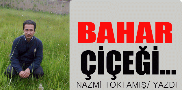 Bahar çiçeği…