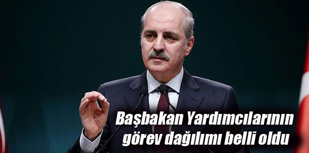 Başbakan Yardımcılarının görev dağılımı belli oldu