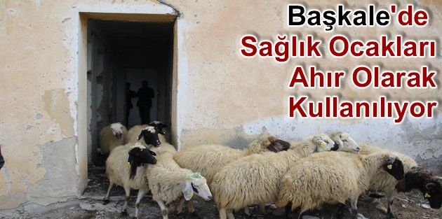 Başkale'de  Sağlık Ocakları Ahır Olarak Kullanılıyor