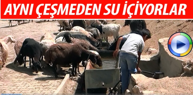 Bir Yüksekova Gerçeği!