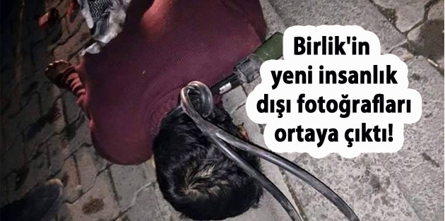 Birlik'in yeni insanlık dışı fotoğrafları ortaya çıktı!