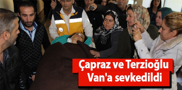 Çapraz ve Terzioğlu Van'a sevkedildi