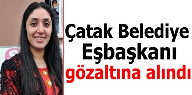 Çatak Belediye Eşbaşkanı gözaltına alındı