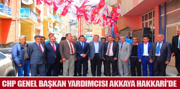 CHP Genel Başkan Yardımcısı Akkaya Hakkari'de