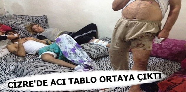 Cizre'de acı tablo ortaya çıktı