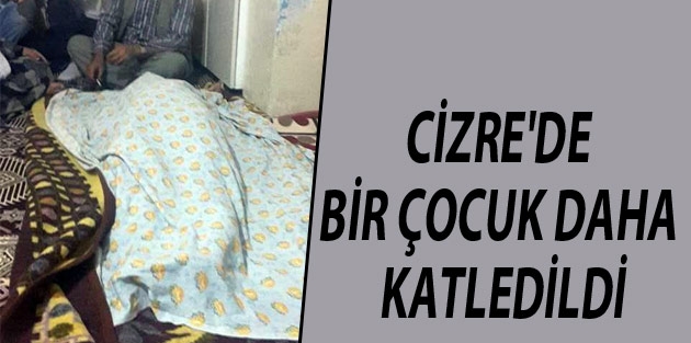 Cizre'de bir çocuk daha katledildi