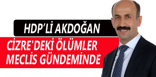 Cizre'deki ölümler meclis gündeminde