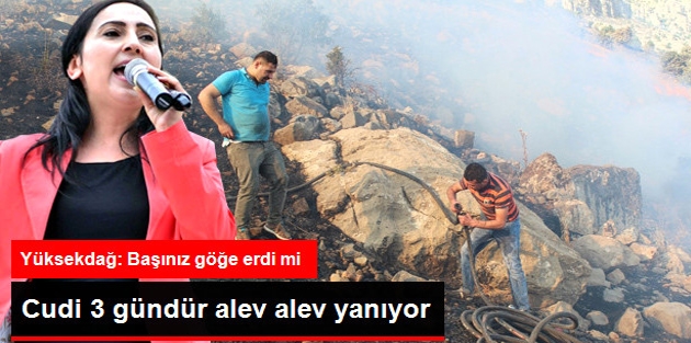 Cudi Dağı Üç Gündür Aralıksız Yanıyor